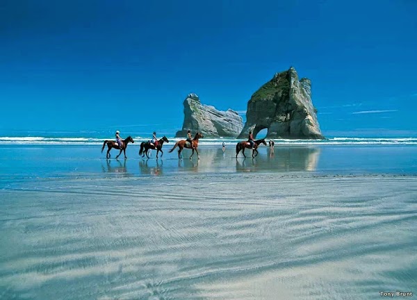 Kahurangi National Park 5