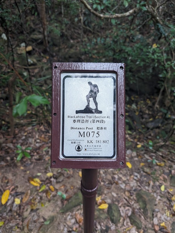 Ma On Shan Country Park 3