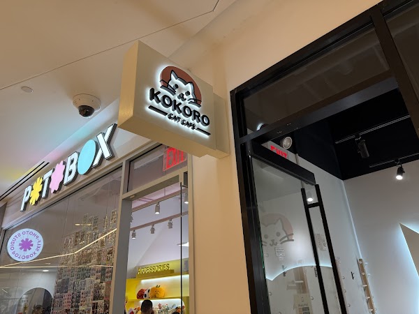 Kokoro Cat Café