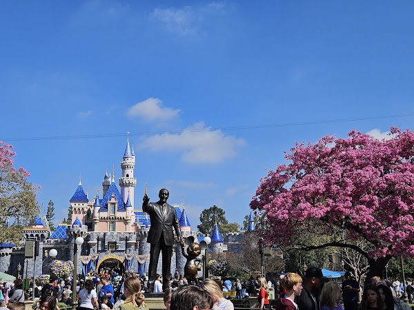 Sleeping Beauty Castle Walkthrough 3