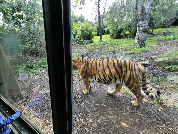 Dublin Zoo 1