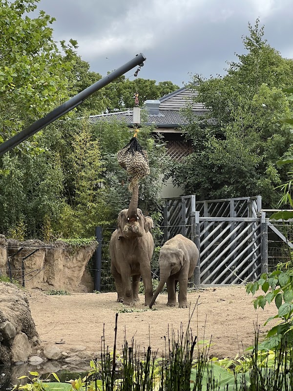 Dublin Zoo 4