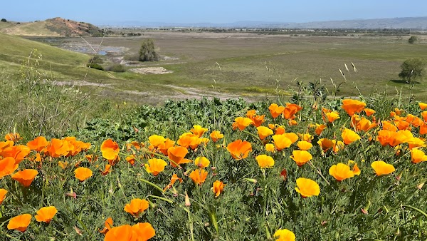 Coyote Hills Regional Park 1
