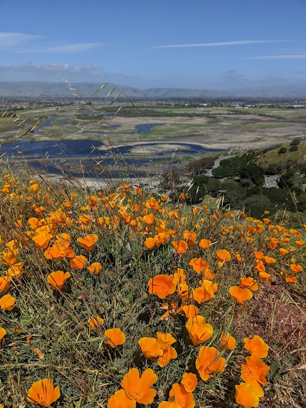 Coyote Hills Regional Park 1