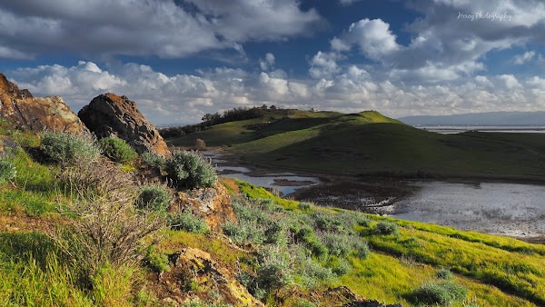 Coyote Hills Regional Park 6