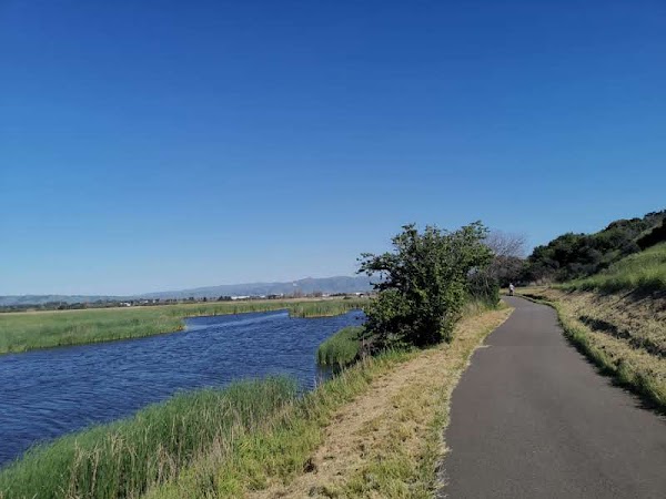 Coyote Hills Regional Park 5