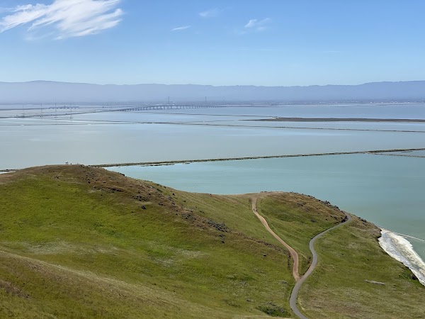Coyote Hills Regional Park 4