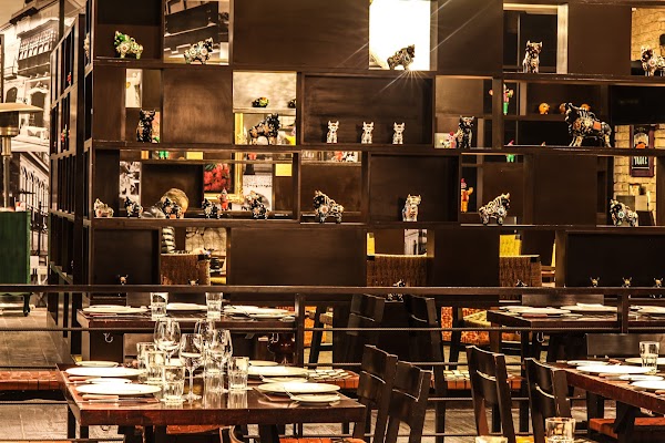 Panchita - Miraflores 1