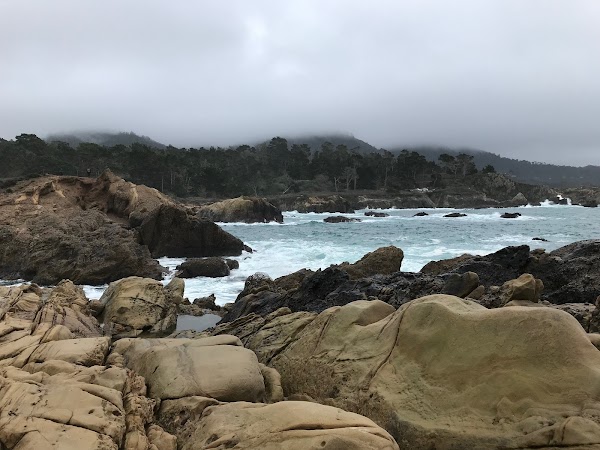 Weston Beach Point Lobos 1