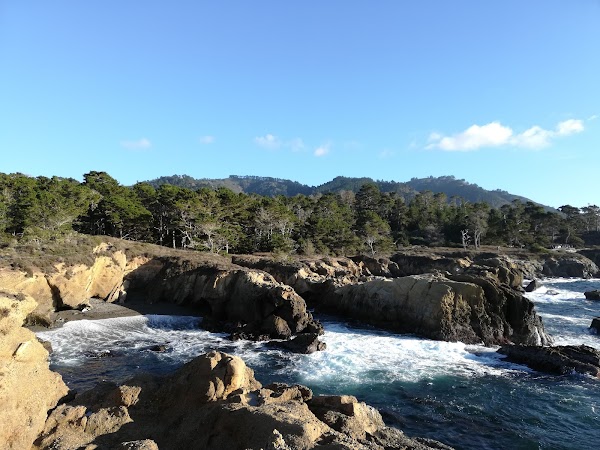 Weston Beach Point Lobos 6