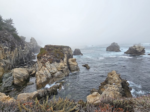 Weston Beach Point Lobos 5