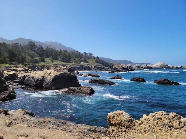 Weston Beach Point Lobos 4