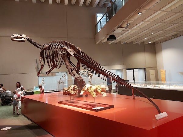 Queensland Museum Kurilpa