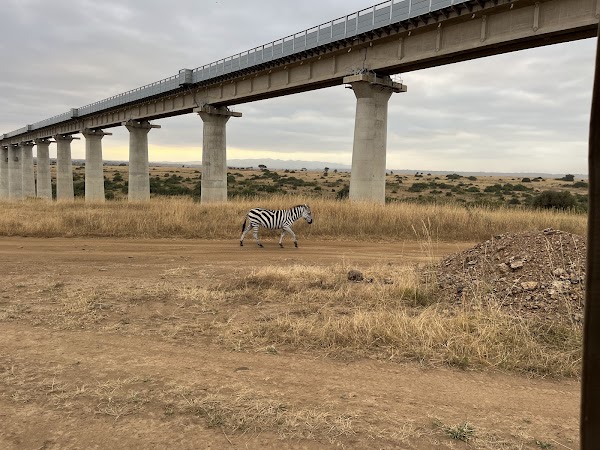 Nairobi National Park 3