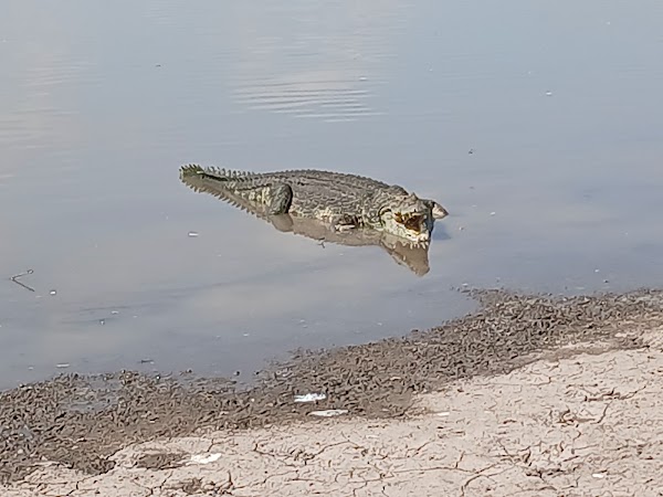 Nairobi National Park 2
