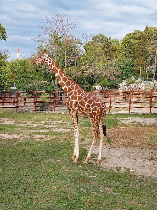 Belgrade Zoo 3