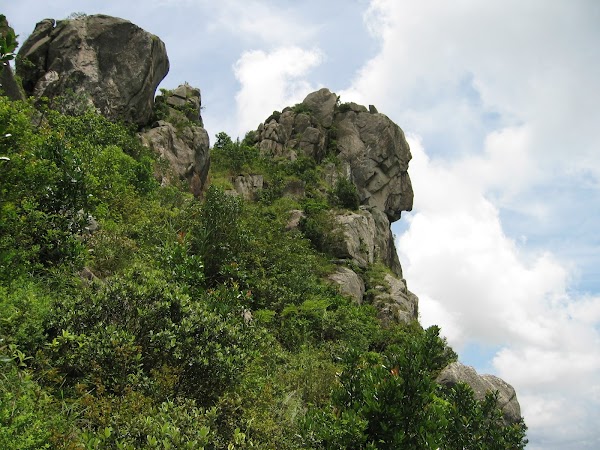 Lion Rock 5