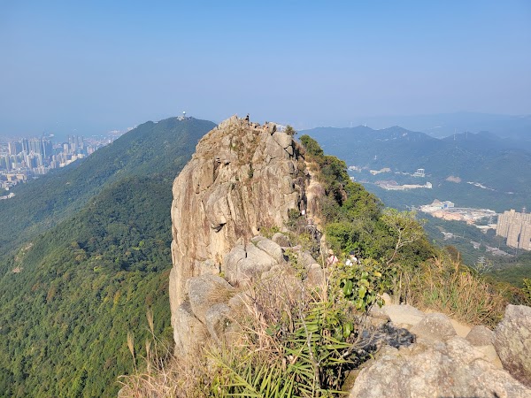 Lion Rock 4