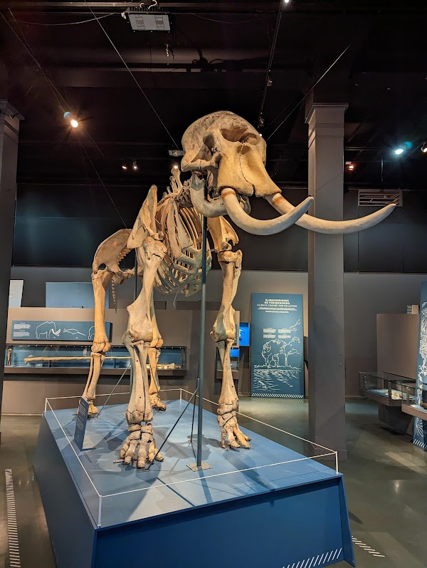 The Botanical Garden 4