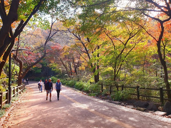 Namsan Dulle-gil Trail 1