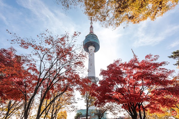 Namsan Dulle-gil Trail 5