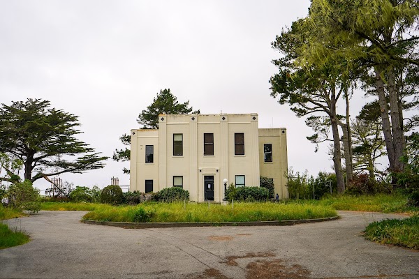 Cypress Tree Tunnel 6