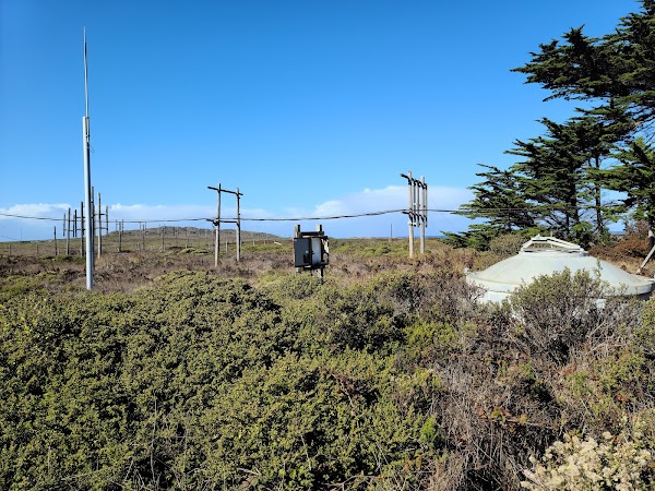 Cypress Tree Tunnel 4