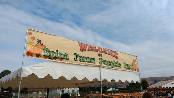 Spina Farms Pumpkin Patch