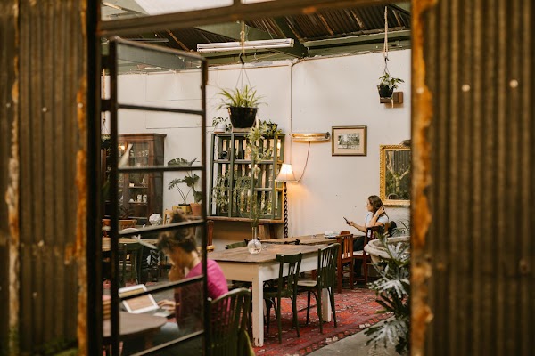 Our Local Kloof Street