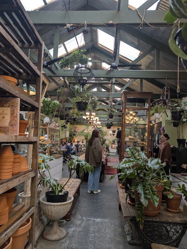 Our Local Kloof Street 5