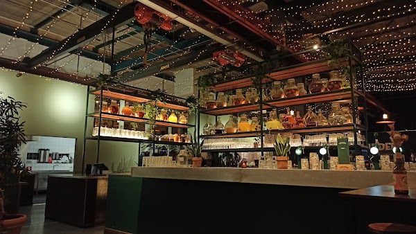 Lowlander Botanical Bar & Restaurant 4