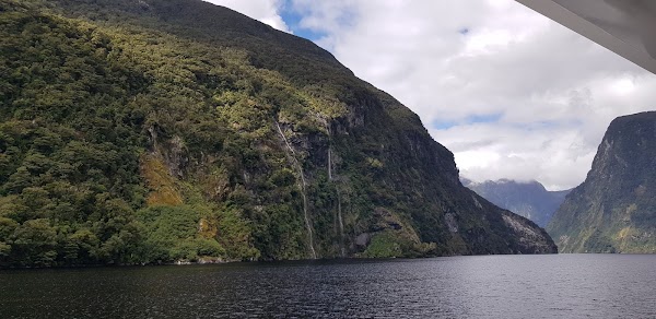 Doubtful Sound / Patea 5