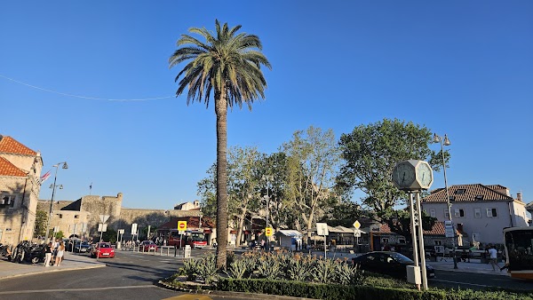 Dubrovnik Delights: Unveiling the Pearl of the Adriatic 3