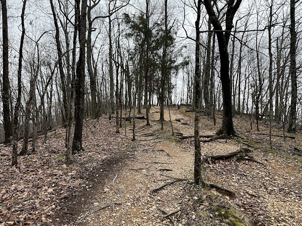 Radnor Lake State Park 3