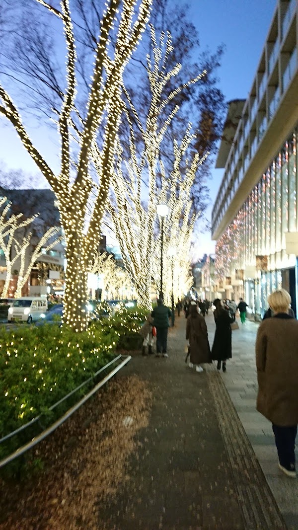 Omote-Sando Avenue