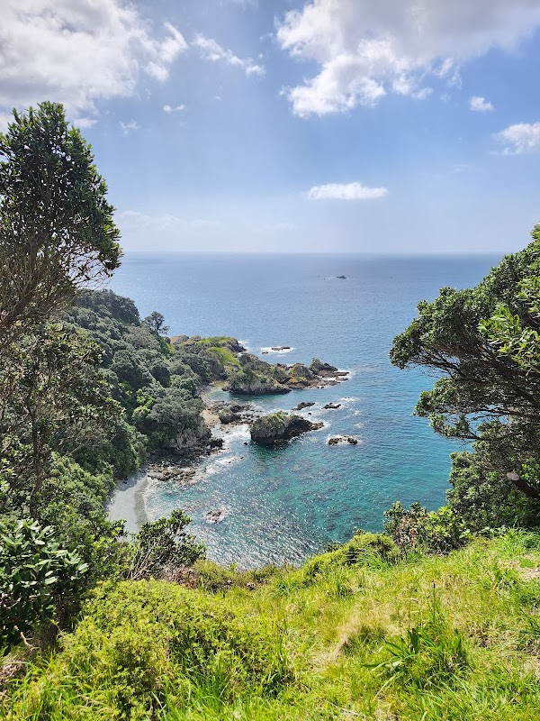 Tiritiri Matangi Island 2