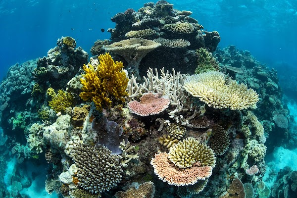 Great Barrier Reef Marine Park 4