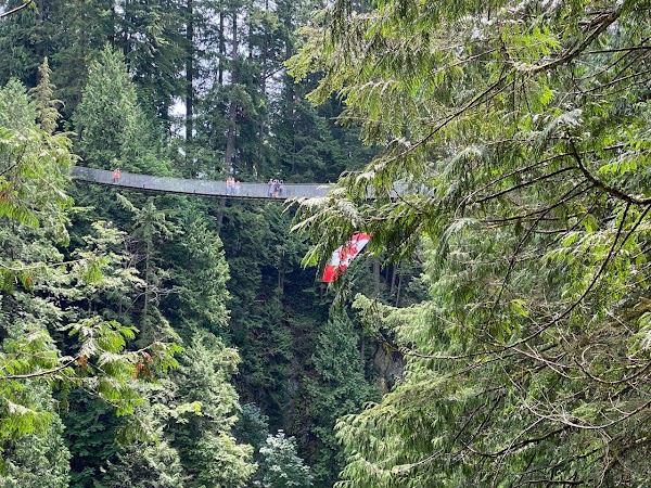Capilano Suspension Bridge Park 5