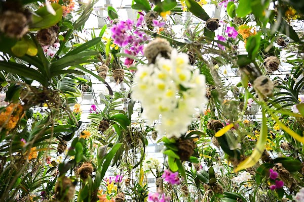 teamLab Planets TOKYO DMM 3