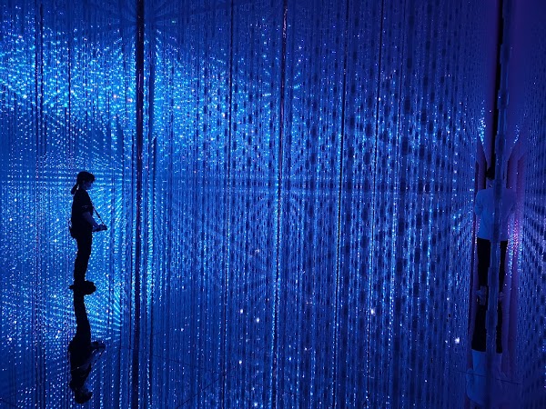 teamLab Planets TOKYO DMM 2