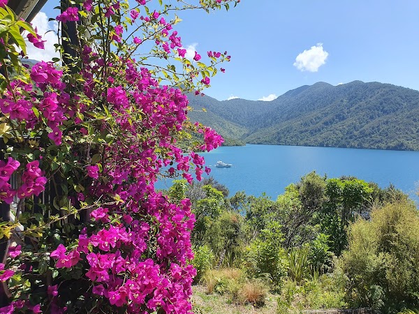 Marlborough Sounds 3