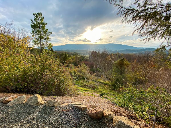 Sonoma Botanical Garden 3