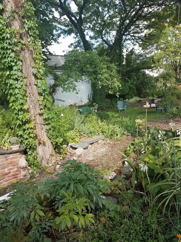 The Backyard
