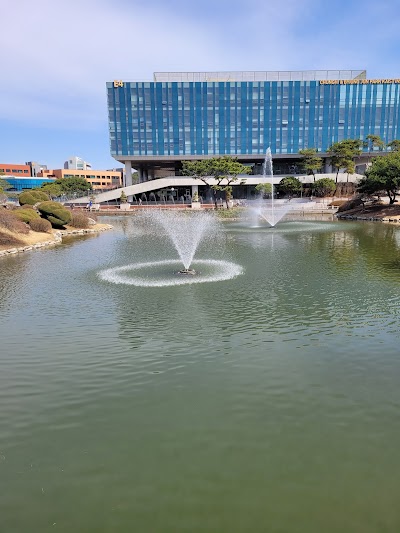 Korea Advanced Institute of Science & Technology (KAIST), Daejeon