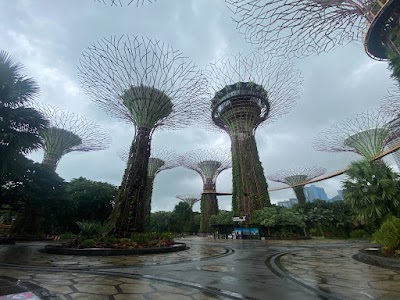 Supertree Grove
