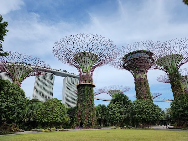 Supertree Grove