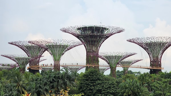 Supertree Grove 2