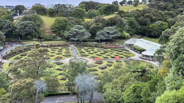 Lady Norwood Rose Garden 5