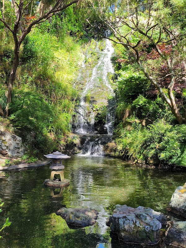 Lady Norwood Rose Garden 4