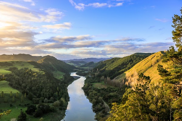 Whanganui River 5